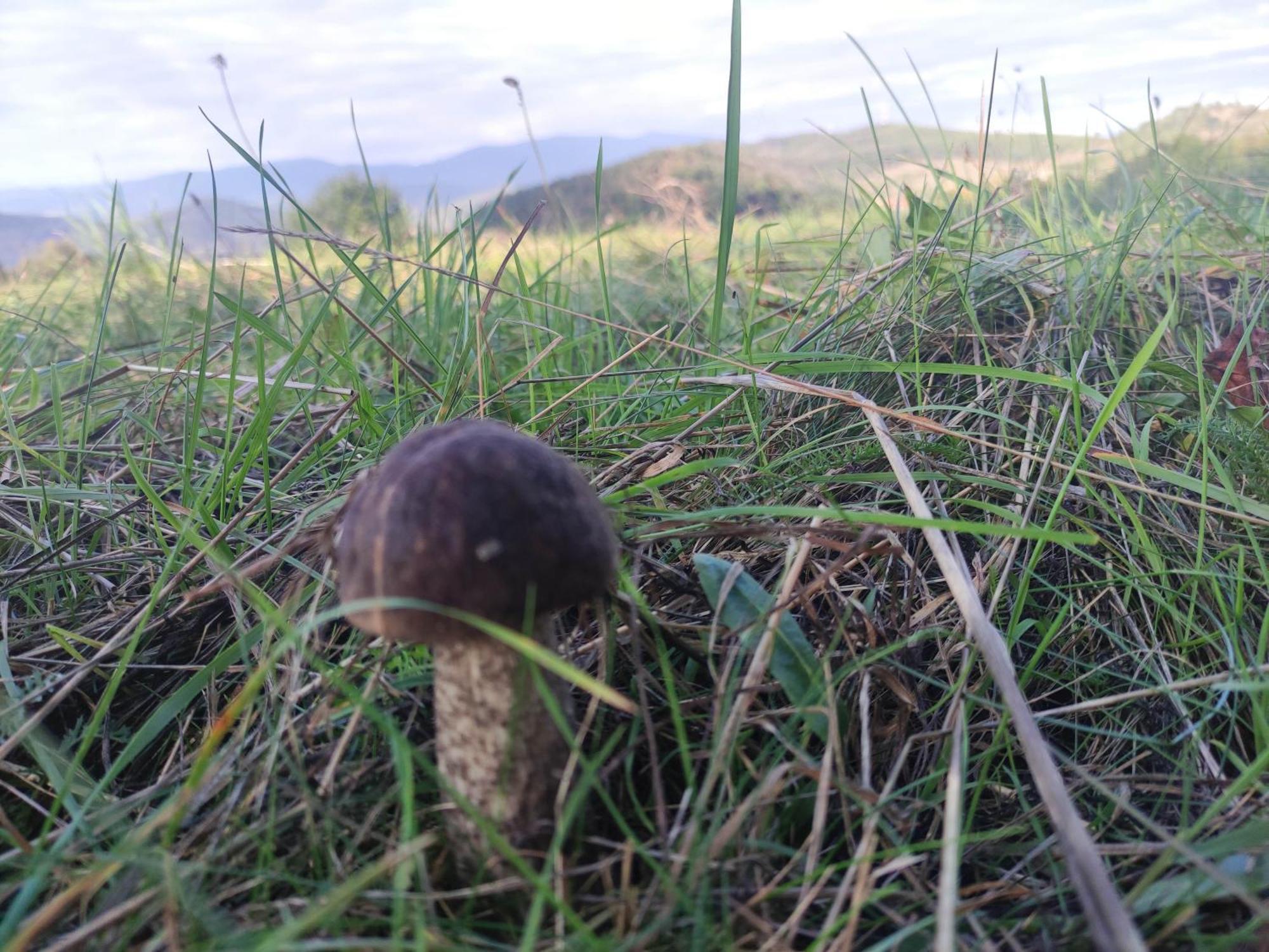 Chata Bobo Stozok Exteriér fotografie